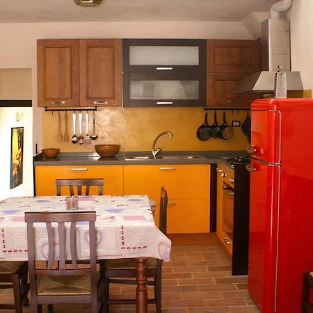Torricini Skyline Bed and Breakfast Ουρμπίνο Εξωτερικό φωτογραφία